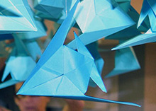 Escaparate Òptica Sant Pol